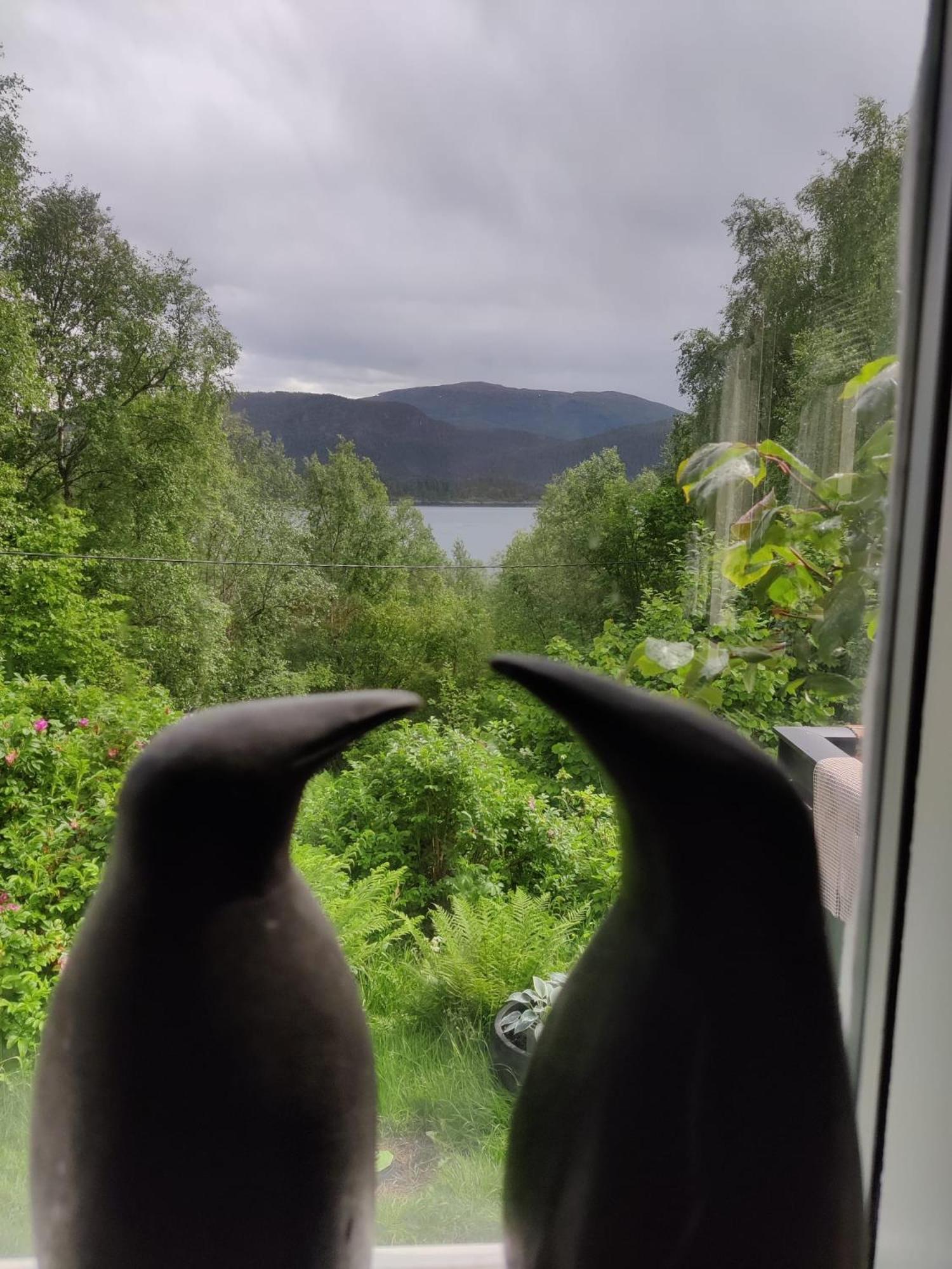 Fjord Peace Villa Skodje Eksteriør bilde